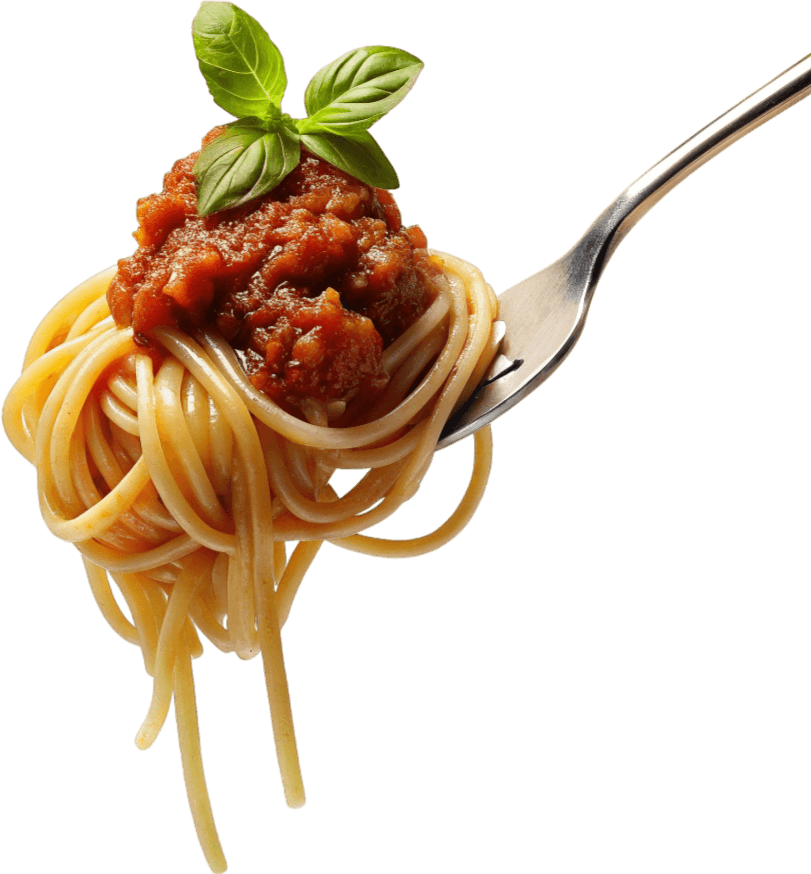 Pasta with sauce on fork